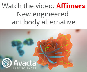 15158923434830730563