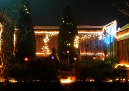 Outdoor Accent Lighting Can Be Fascinating And Fun